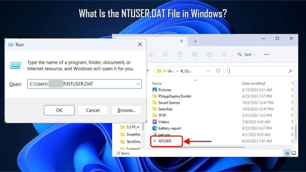 NTUSER Files in Windows
