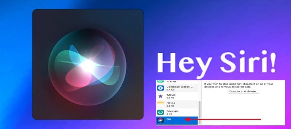 Enable or Disable Siri