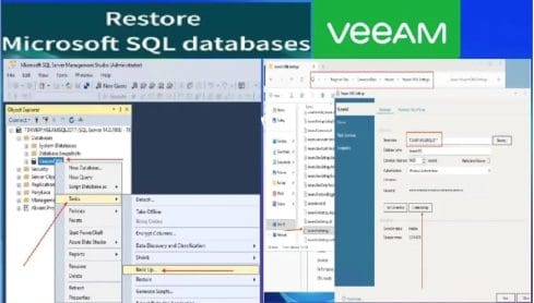 Migrate Veeam One Database from SQL Server 2017 to 2025