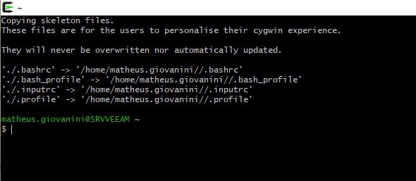 Cwin Terminal